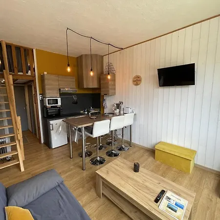 Renove Au Pied Des Pistes, Ideal Pour 4 Pers, Avec Wifi, Animaux Acceptes, Casier A Skis Inclus - Fr-1-787-54 Апартаменты Laveissiere