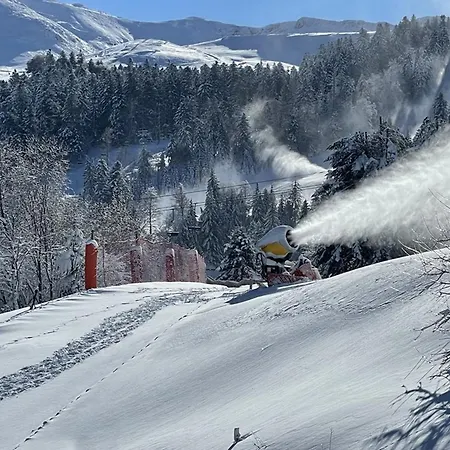 Lejlighed Renove Au Pied Des Pistes, Ideal Pour 4 Pers, Avec Wifi, Animaux Acceptes, Casier A Skis Inclus - Fr-1-787-54 *